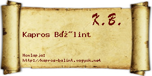 Kapros Bálint névjegykártya