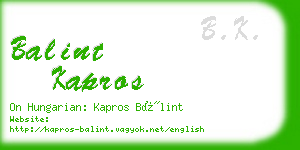 balint kapros business card